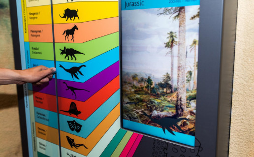 2017-08-01 16-34-37 author Rytis Seskaitis.jpg